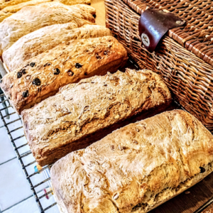"Sauerteigbrot backen" Komplettkurs für Anfänger mit Dinkel-Sauerteig-Ansatz