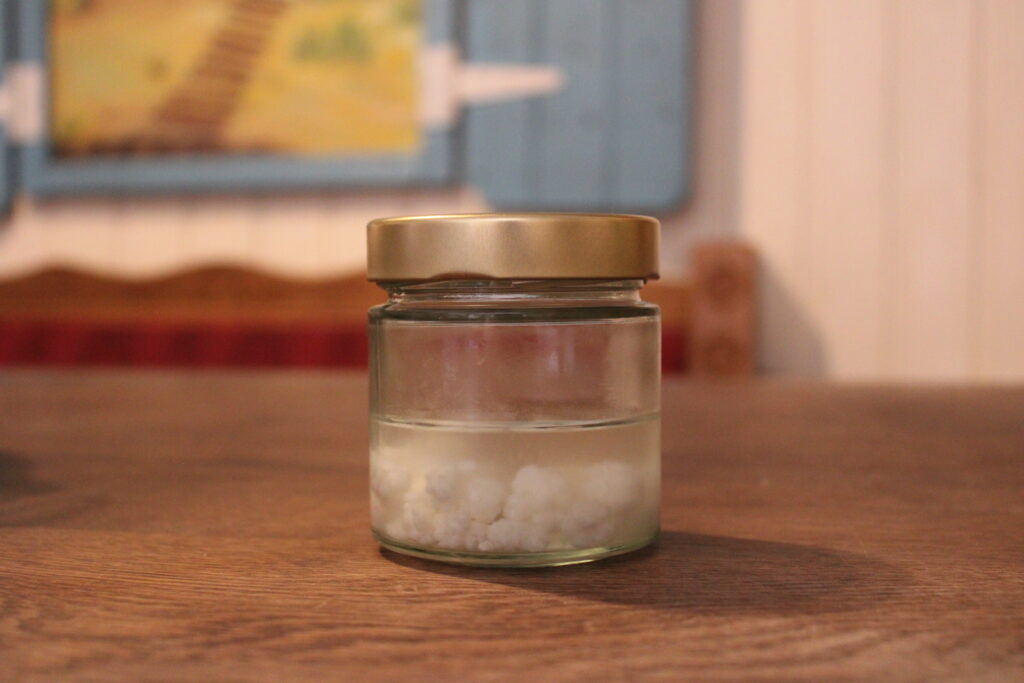 Milchkefir-Knollen