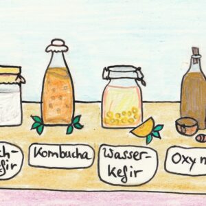 Buch "Fermentierte Getr&auml;nke, alte Tradition neu belebt!" als digitale PDF-Version