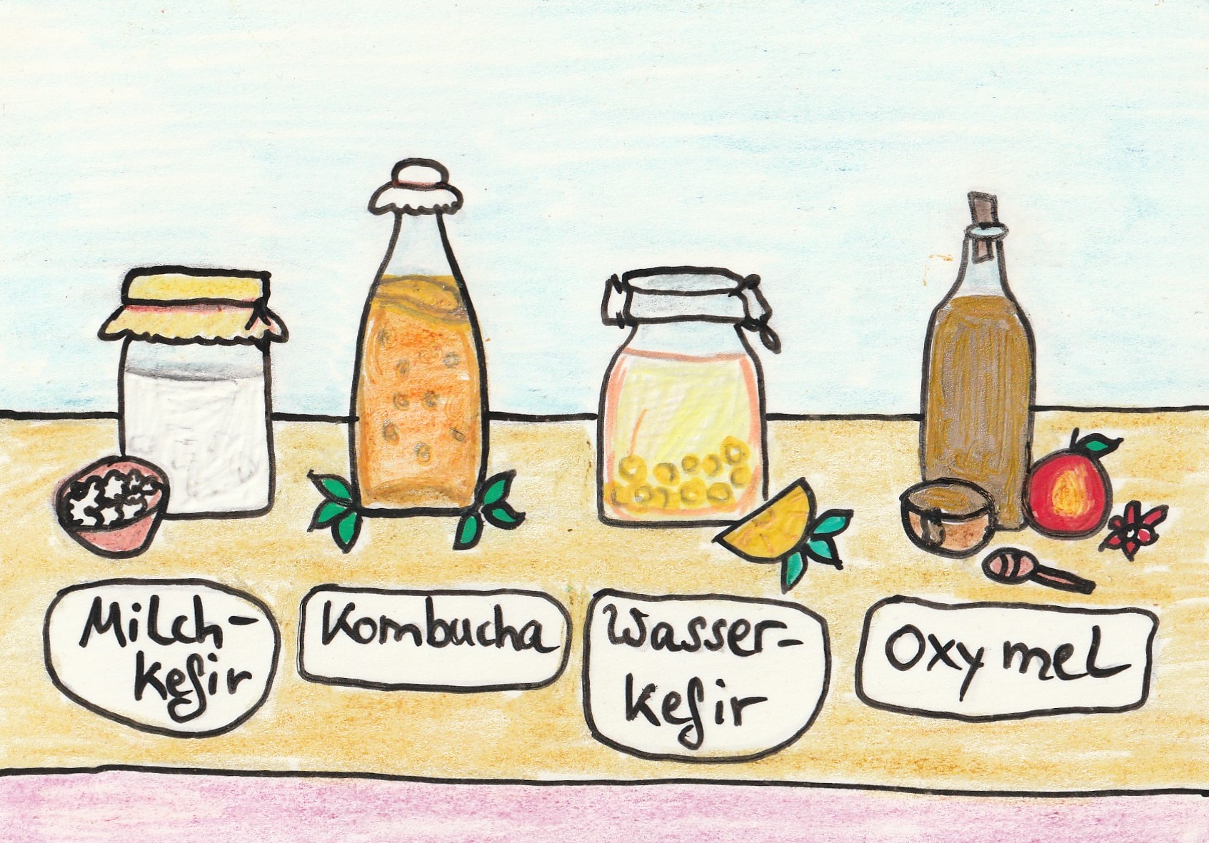 Buch "Fermentierte Getränke, alte Tradition neu belebt!" als digitale PDF-Version