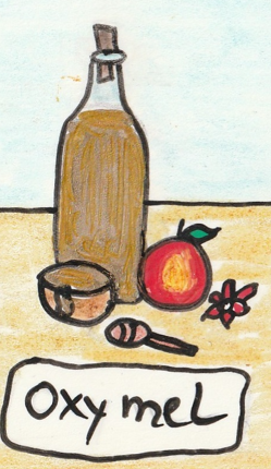 Buch "Fermentierte Getränke, alte Tradition neu belebt!" als digitale PDF-Version – Bild 5